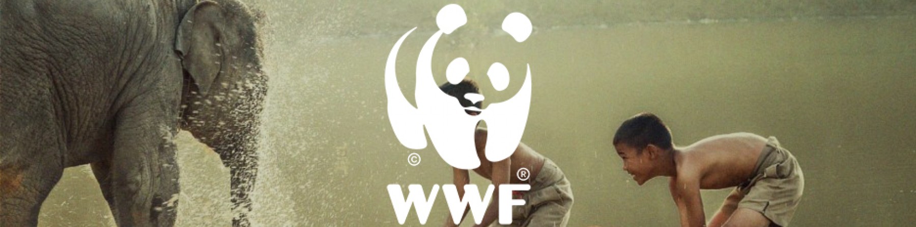 WWF Greece teaser